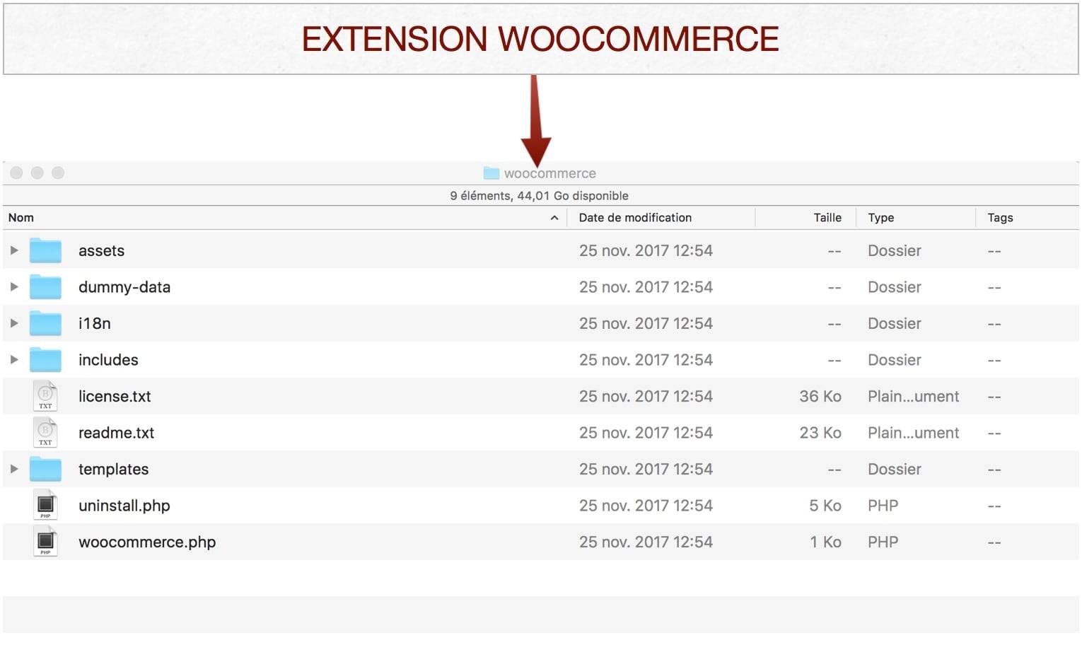 Structure des dossier de WooCommerce